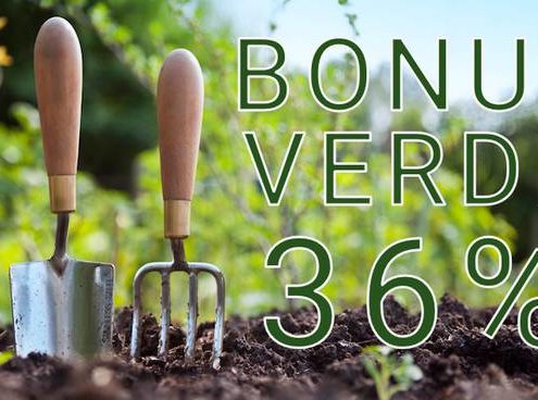 agevolazione fiscale: bonus-verde